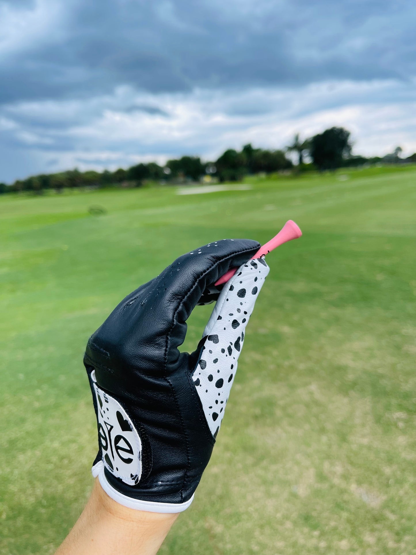 Dalmatian Golf Glove